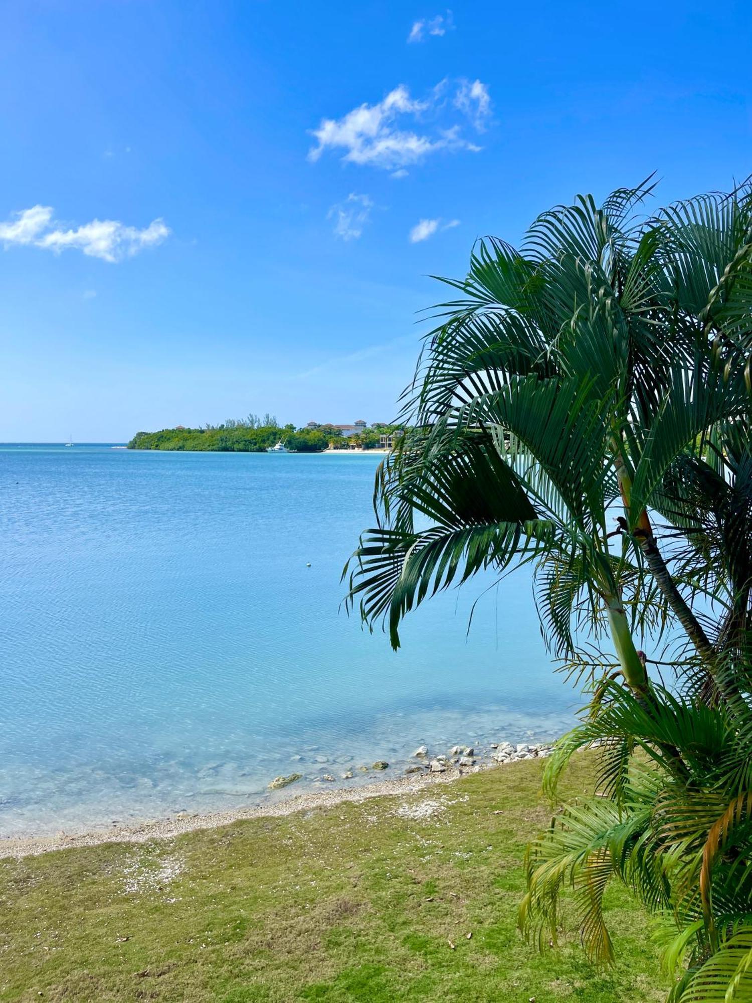 Luxury Apartments And Rooms,The Lagoons Montego Bay Buitenkant foto